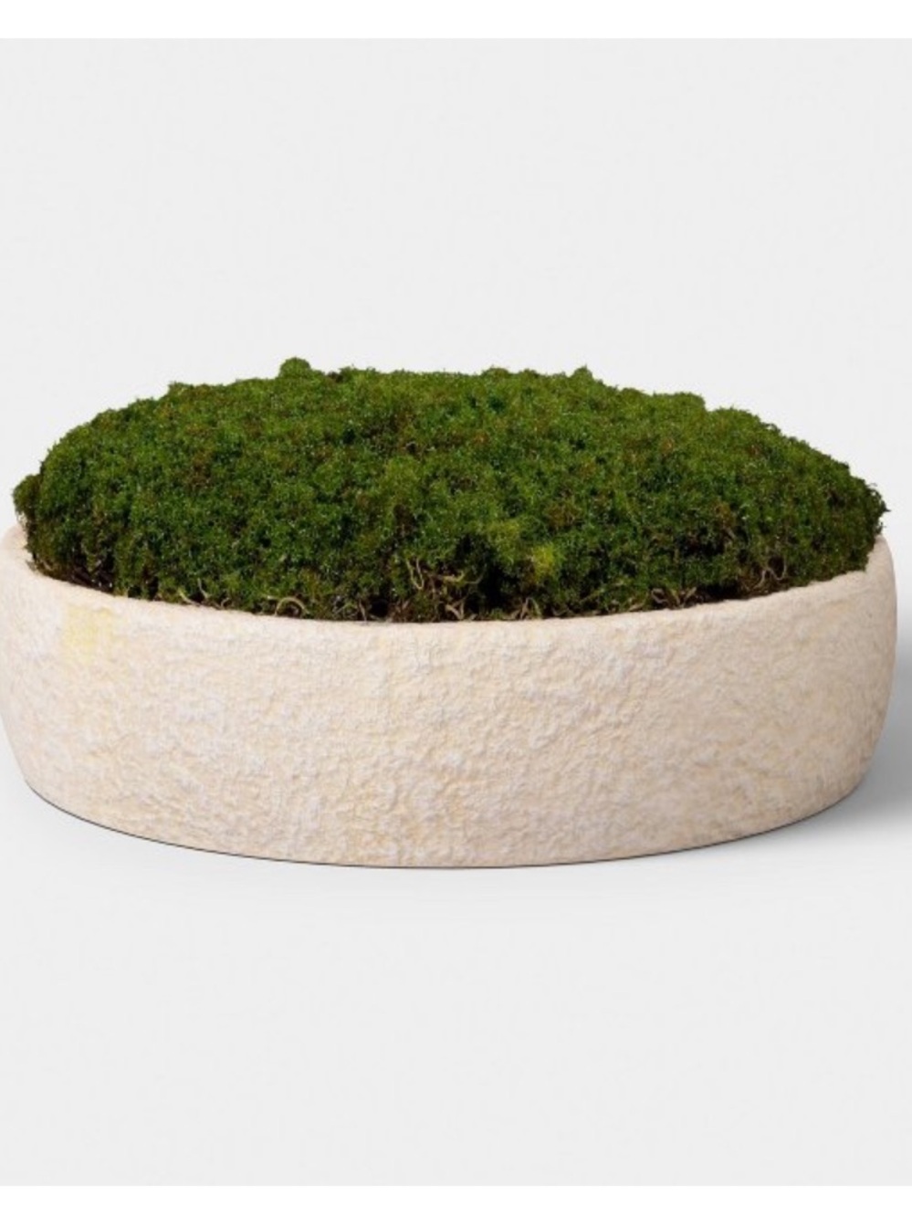 THRESHOLD NWT small moss bowl